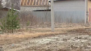 Глава СК РФ Бастрыкин заинтересовался нарушением прав многодетных семей Камешковского района