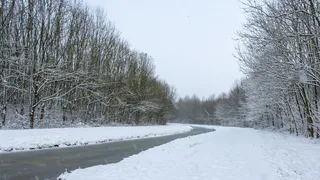 На Челябинскую упадет снежная бомба: синоптики скупают варежки в регионе