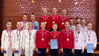 Гимнастки из спортивной школы №5 завоевали всё "золото" Чемпионата Владимирской области