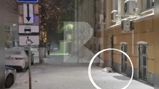 Что случилось вчера вечером у здания администрации? Подробности от полиции