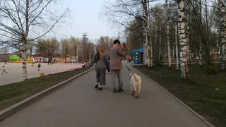 Синоптики спрогнозировали до +28 градусов тепла сегодня в Челябинской области