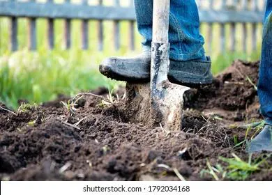 Митрофан Навозник: приметы и запреты на 17 июня