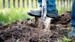 Митрофан Навозник: приметы и запреты на 17 июня