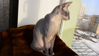 В понедельник ожидается солнце и температура до -20