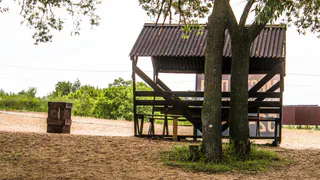 17 августа в Рязанской области ожидается порывистый ветер и до +29