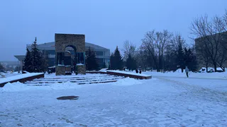 Март станет месяцем успеха и финансового благополучия у представителей этих 4 знаков зодиака