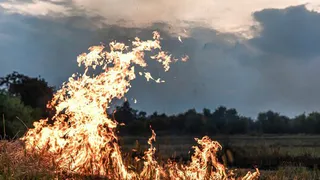 В дачном поселке Киржачского района произошел крупный пожар