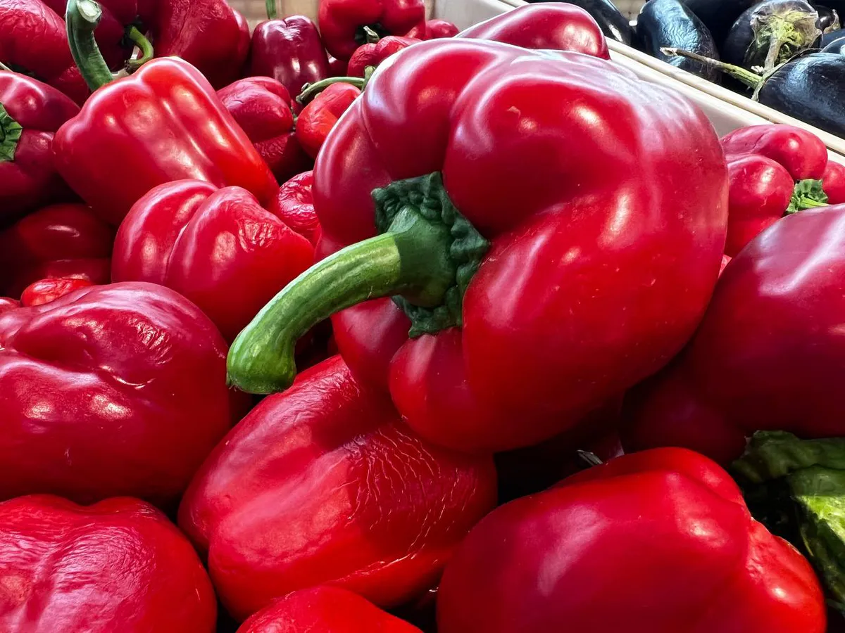 Перец вырастит крепким и сладким: это бесплатное удобрение нужно добавить прямо в грунт