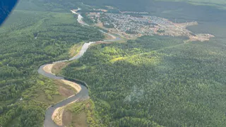 В Коми полностью ликвидировали лесные пожары