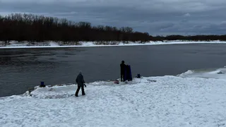 2 февраля в Рязанской области ожидается мокрый снег и до +2