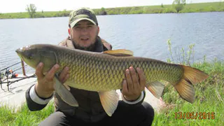 Рязанцы поймали карпа весом почти 9 килограмм