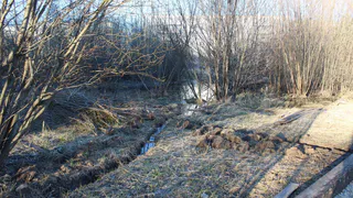 Многолетняя свалка в Магнитогорске получила новую жизнь: прокуратура добилась завершения рекультивации