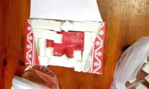 Служебная собака нашла в скопинской колонии гашиш