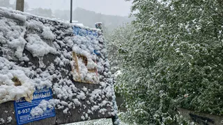 Аномальное бабье лето ждет нас в ноябре: синоптики рассказали о внезапном потеплении 