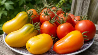 Проверил 7 худших сортов томатов на дачном участке соседа. Банановые ноги и Корнабель оказались полным разочарованием за такие деньжища