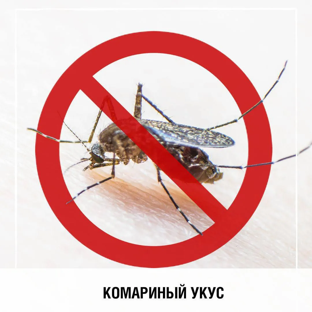 Собираетесь в отпуск? Не забудьте о мерах профилактики против комариных укусов