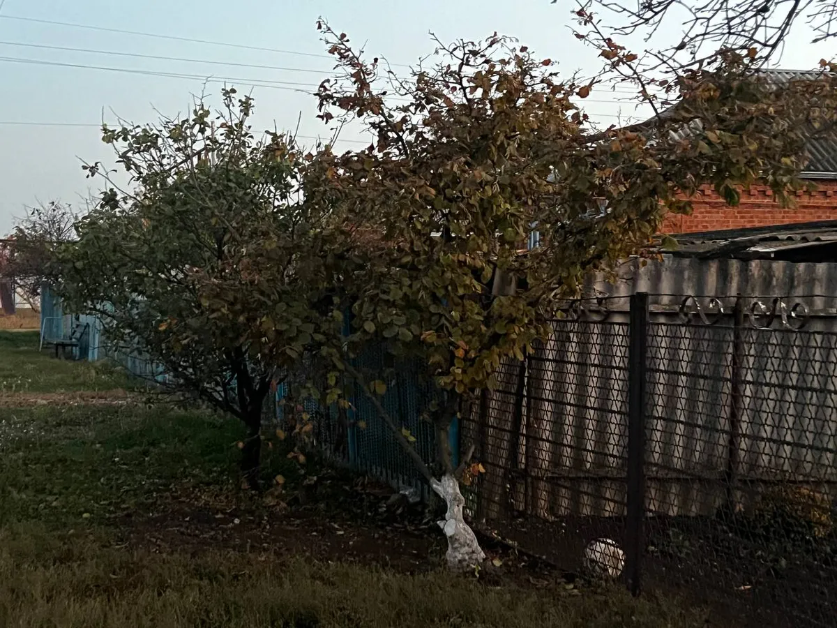 Ваш забор снесут этой весной и не спросят: дачники в негодовании и в ярости