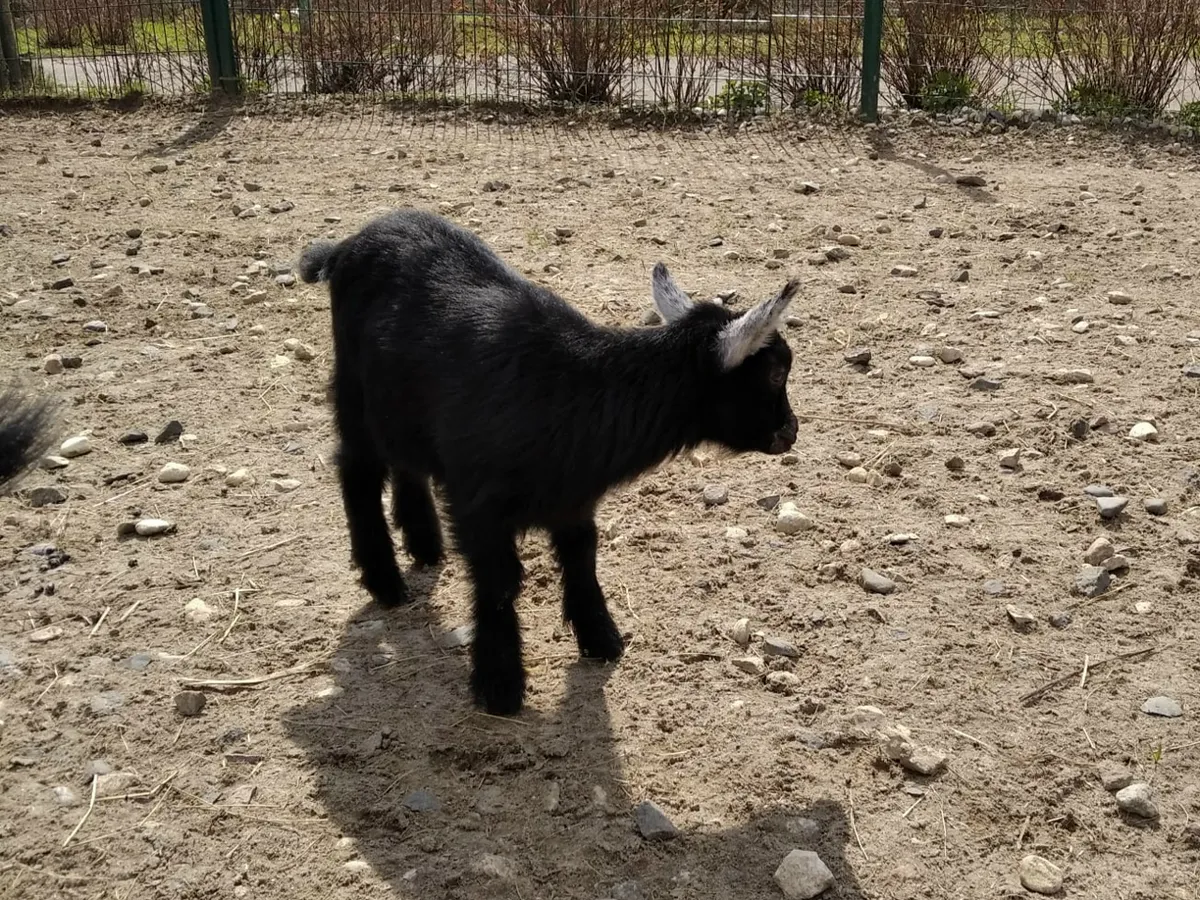 Татарстан занимает лидирующие позиции по производству сельского хозяйства