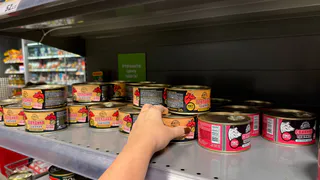 Купила 3 банки тушенки из говядины: нашла хитрый трюк производителей - всего две цифры на банке скажут правду о качестве