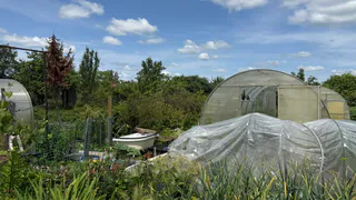 20 дачных хитростей, о которых молчат опытные огородники – а зря: урожай реально становится лучше