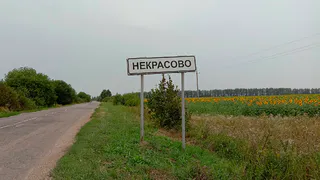 В Захаровском районе Рязанской области в водоеме утонул двухлетний ребёнок