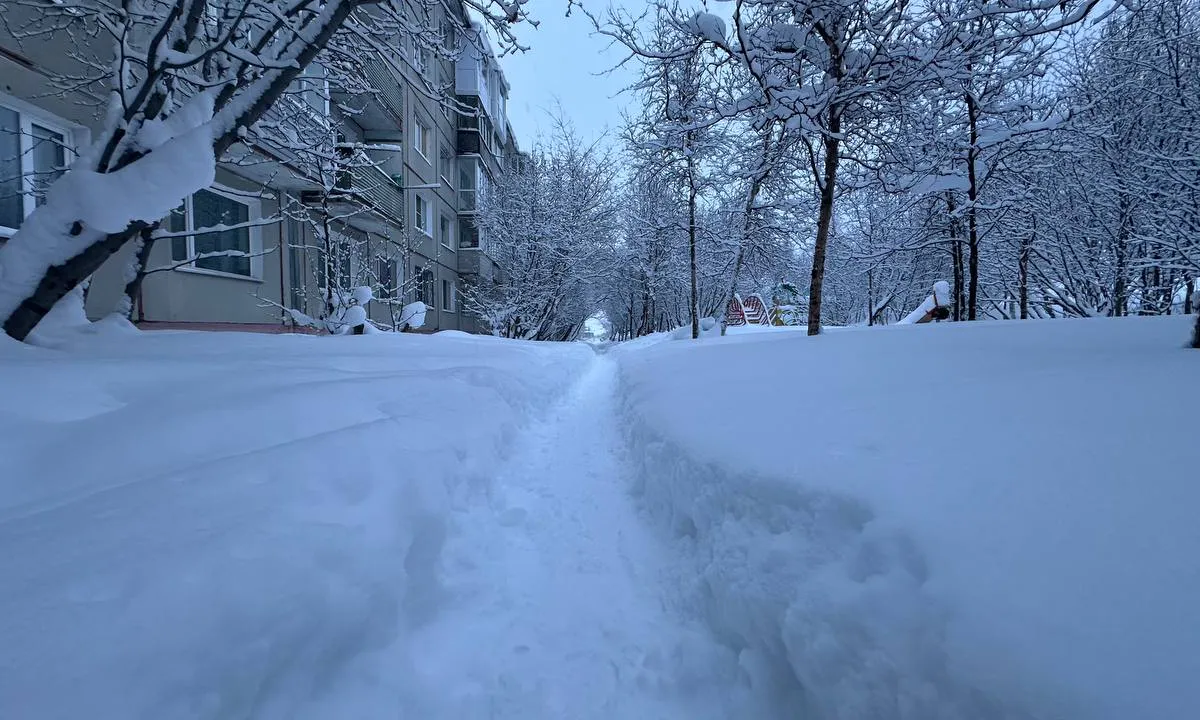 Снег, оттепель или гололед: какая погода ждет центральную Россию на Новогодние праздники