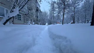 Снег, оттепель или гололед: какая погода ждет центральную Россию на Новогодние праздники