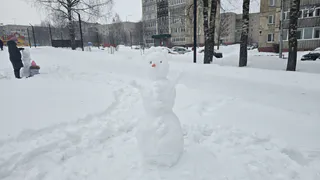 Такой зимы в России ещё не видели: синоптики предупредили, к чему готовиться