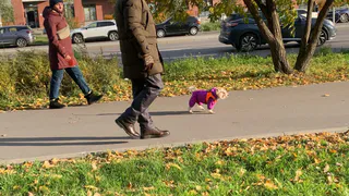 В Вадинске стартовали работы по благоустройству парковой зоны