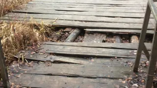 Брянские власти забыли о подвиге предков и довели до запустения Стоянку Виноградова