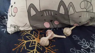 Сначала удивлялась, теперь делаю так же: зачем опытные хозяйки кладут под подушку зубчик чеснока 