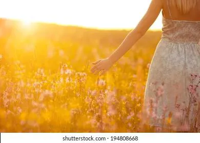 Не плакать и не убивать комаров: что можно, а что нельзя делать 26 мая