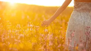 Не плакать и не убивать комаров: что можно, а что нельзя делать 26 мая