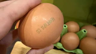 Никогда не кладите яйца после варки в холодную воду: вот что происходит в составе при резком охлаждении