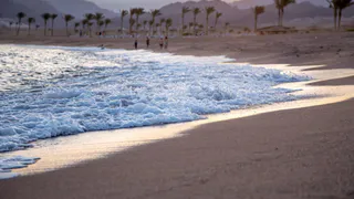 Отзыв о поездке в Египет в феврале: холодно купаться, чужие волосы в постели, но экскурсии интересный!