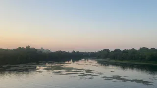 Паводок-2026: Проня у Быково прибавила 29 см за сутки, Ока поднялась на 26 см