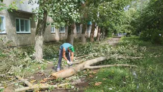 Ураган повалил деревья в Алатыре и лишил жителей света