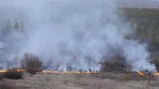 4 класс: в трех районах Рязанской области ввели режим пожарной опасности