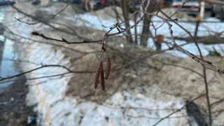 Гороскоп на сегодня: Овнов ждёт романтический поворот, а Тельцам стоит избегать конфликтов