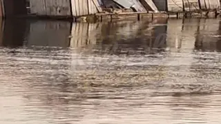 Во Владимирской области дачный дом с хозпостройками уплыл по Клязьме