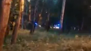 Полицейские помогли рязанке найти потерявшегося в парке 13 июня ребенка