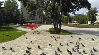 Нижнекамка: «Не устраивайте помойку на «Сквере Лемаева!»