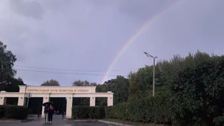 250 тысяч уже есть: площадка для паркура в ЦКПиО обойдется в 2,5 миллиона