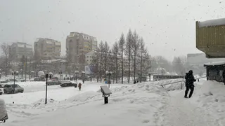 Коми заметет снегом: погода в регионе 20 марта