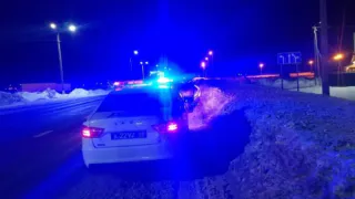 В Пензенской области задержали нетрезвого водителя с детьми в салоне