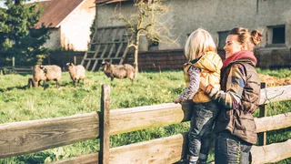 Россельхозбанк научит фермеров развивать агротуризм