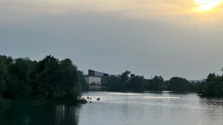 Минприроды предупреждает рязанцев о всплывающих вверх брюхом сомах-гигантах