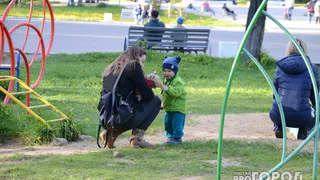 В Челябинской области многодетные семьи получат компенсацию за проезд детей в общественном транспорте
