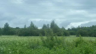 17 июня лето временно покидает Коми: везде прохладно и дождливо