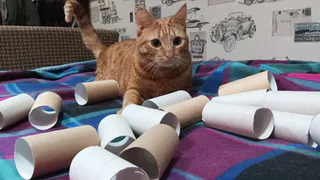 Втулки от туалетной бумаги берегу как зеницу ока: вот как их использую - очень полезная вещь для решения многих проблем